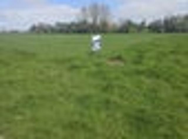 Land for sale in Gordonton, Waikato District
