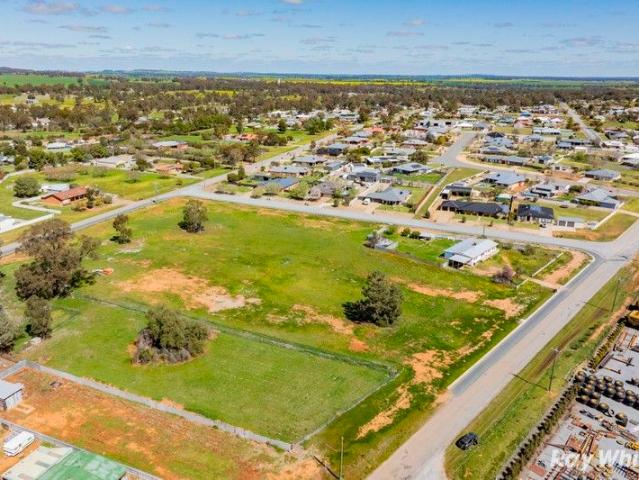 Land for sale in Coolamon, New South Wales