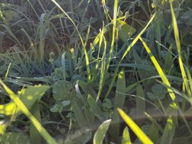 Land for sale in East London, Eastern Cape