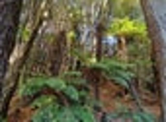 Land for sale in Oban, Southland