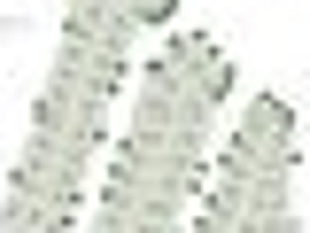 Land for sale in Awhitu