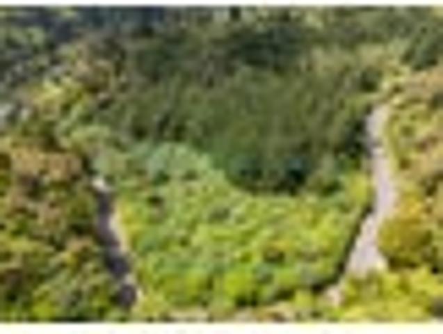 Land for sale in Pauatahanui, Wellington