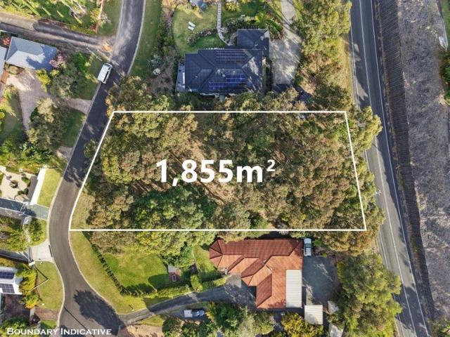 Land for sale in Tamborine Mountain, Queensland