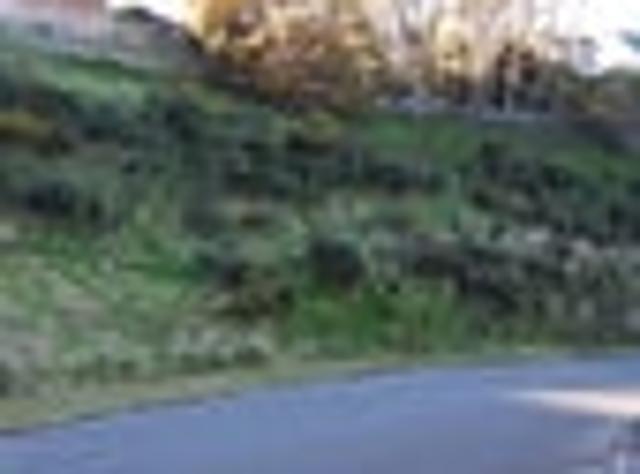Land for sale in Otakou