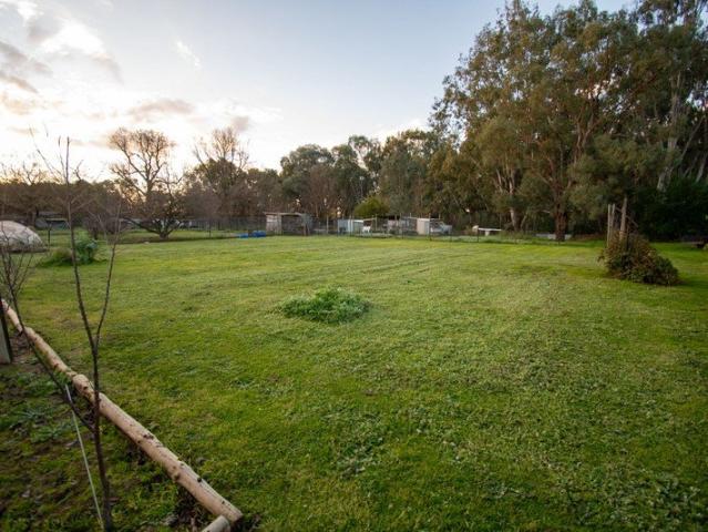 Land for sale in Holbrook, New South Wales