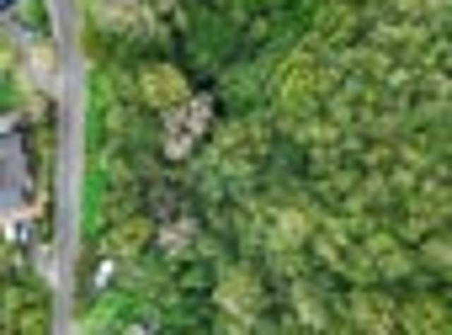 Land for sale in Days Bay, Wellington