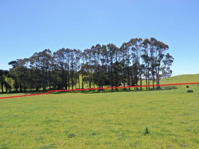 Land for sale in Irishtown, Tasmania