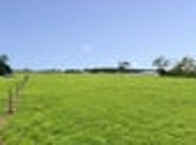 Land for sale in Horowhenua District