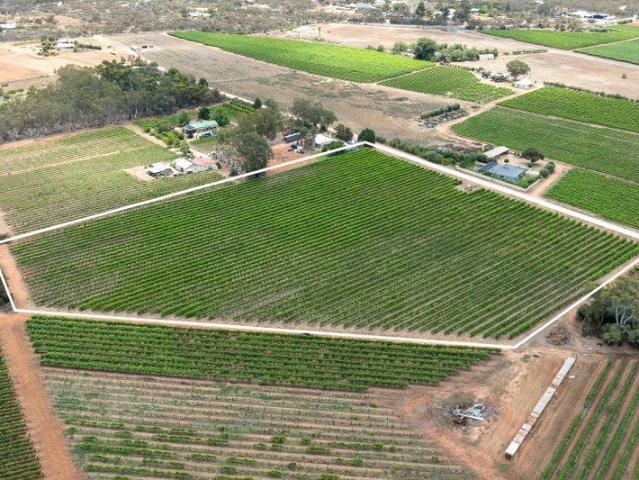 Land for sale in Glossop, South Australia