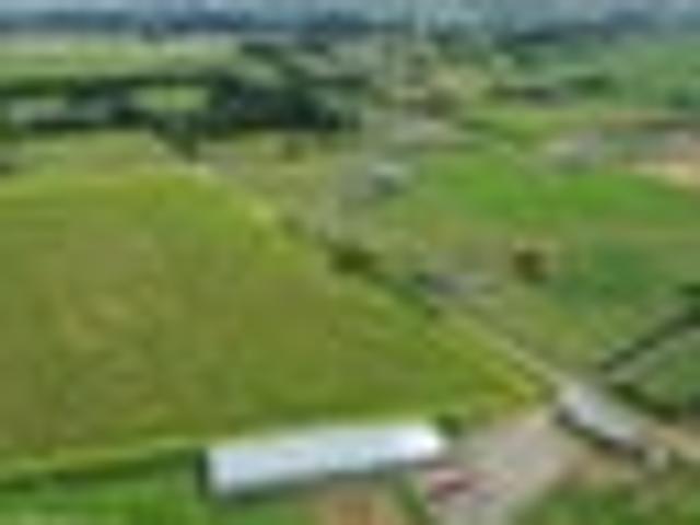 Land for sale in Southland