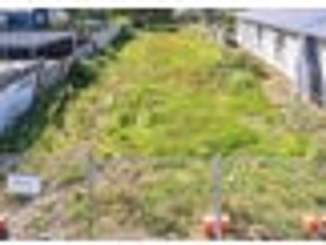 Land for sale in Wanganui District
