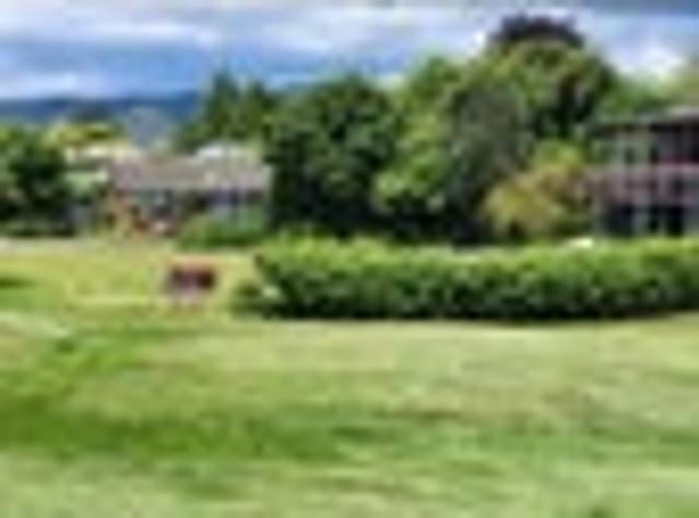 Land for sale in Bay Of Plenty