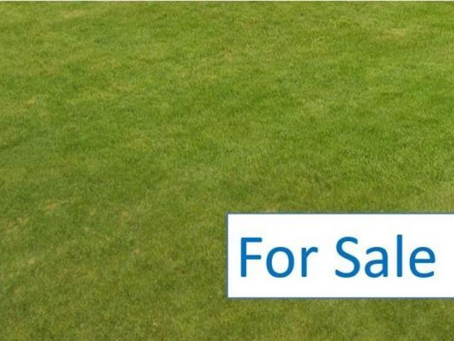 Land for sale in Camerons Creek, Victoria