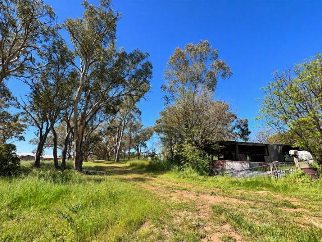 Land for sale in Yeoval, Cabonne Council