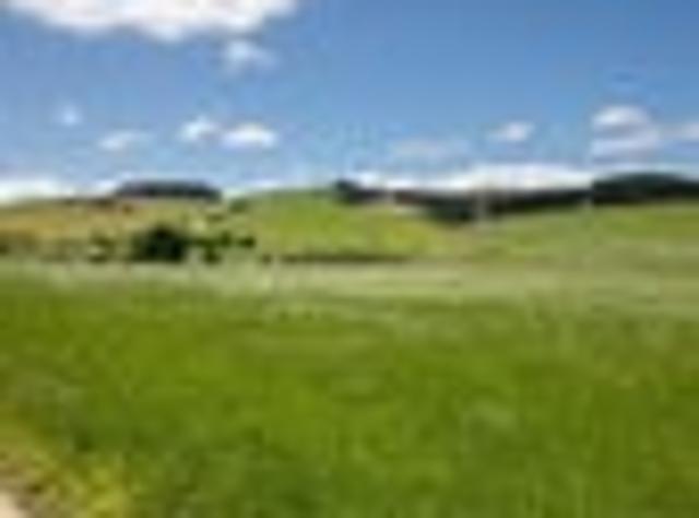 Land for sale in Otakou