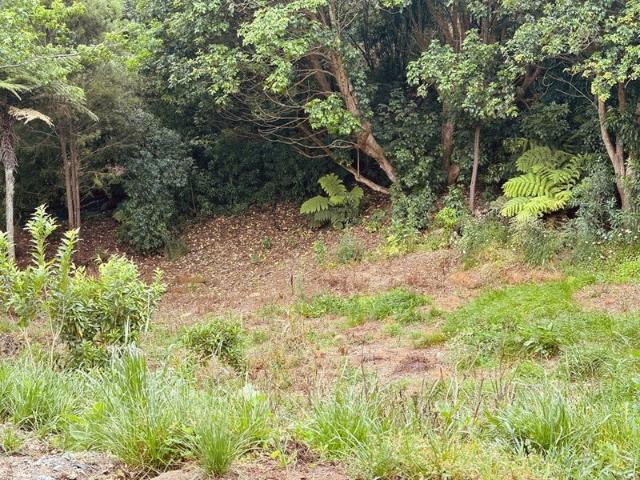 Land for sale in Pukekohe, Auckland