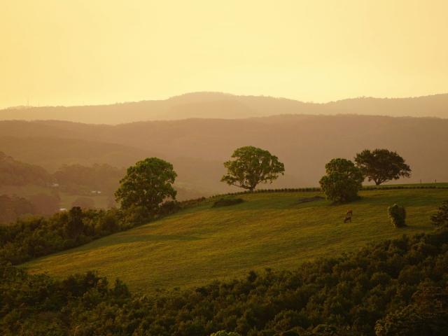 Property for sale in Eureka, New South Wales