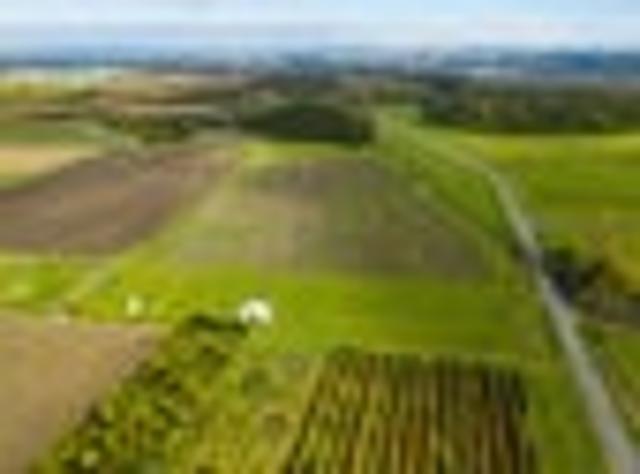 Land for sale in East Coast