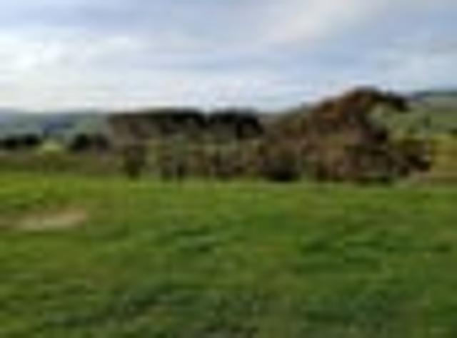 Land for sale in Otakou