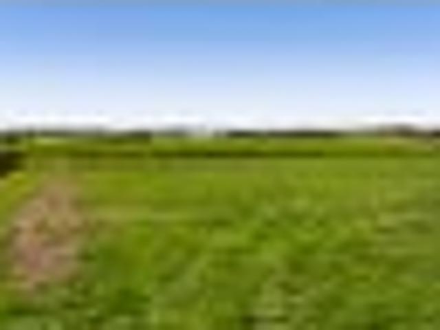 Land for sale in Normanby, Taranaki