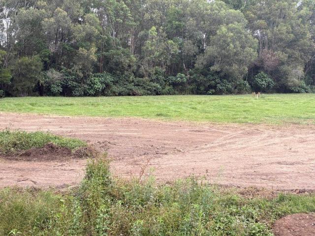 Land for sale in Toombul, Queensland