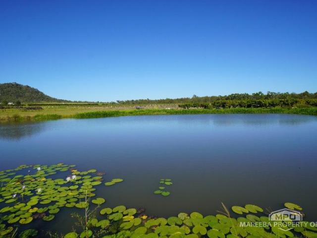 Cottage for sale in Mareeba, Queensland