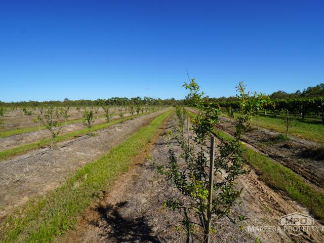 Property for sale in Mareeba, Queensland