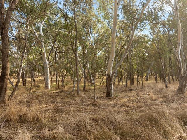 Property for sale in Seymour, Shire of Mitchell