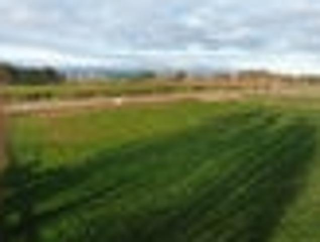 Land for sale in Manawatu District