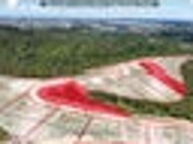 Land for sale in Kawau Island