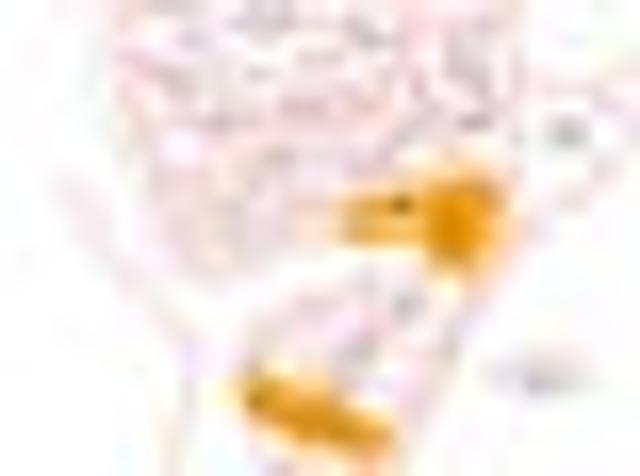 Land for sale in Kawau Island