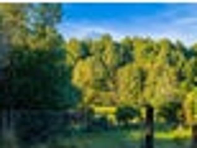 Land for sale in Hillsborough, Taranaki