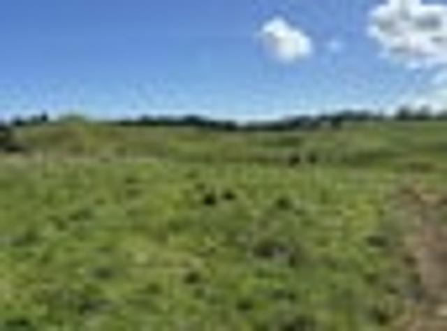 Land for sale in Hillsborough, Taranaki