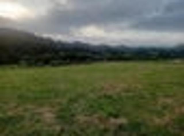 Land for sale in Northland