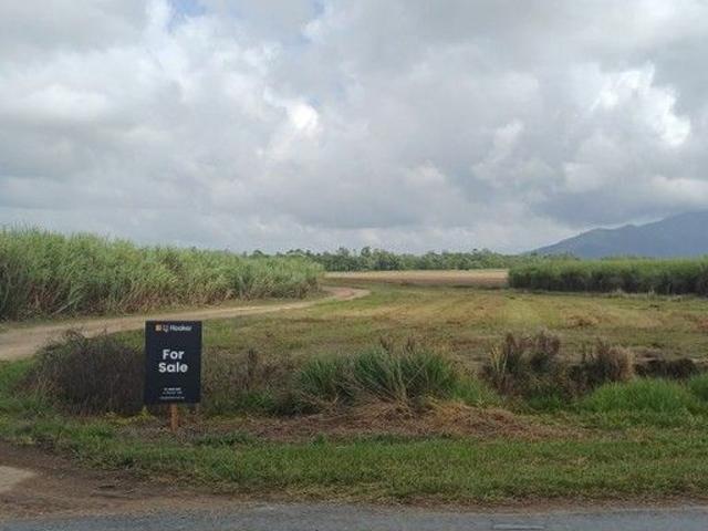 Land for sale in Silky Oak, Queensland