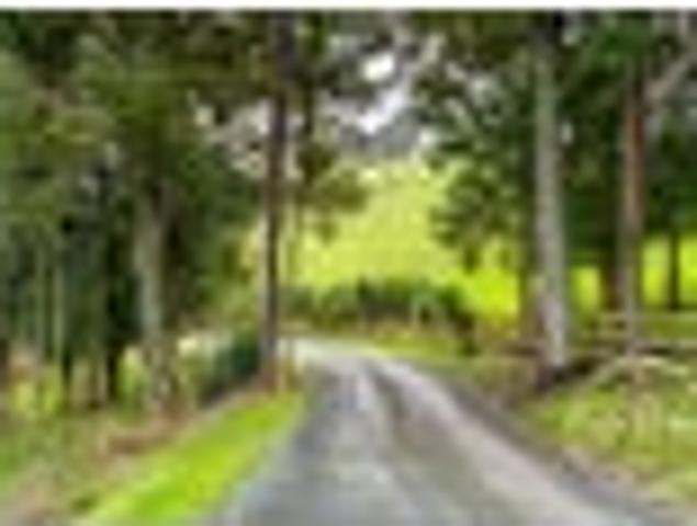 Land for sale in Northland