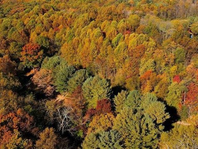 Land for sale in Dayton, Maryland