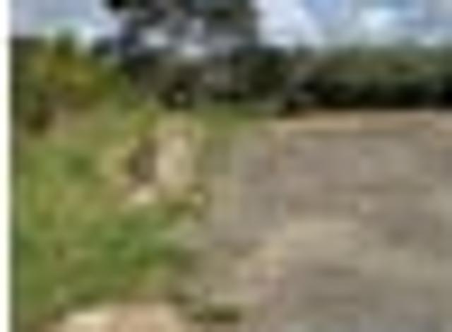 Land for sale in Rapanui, Oroua County