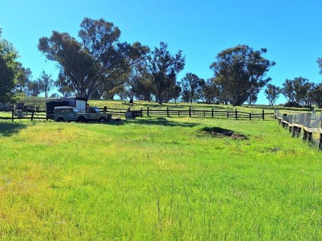 Land for sale in Woolbrook, Tamworth Regional Council