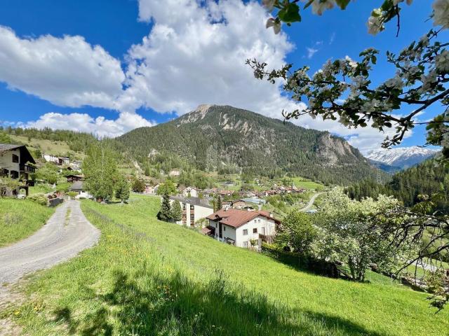 Immobilie kaufen in Bergün, Bravuogn, Graubünden