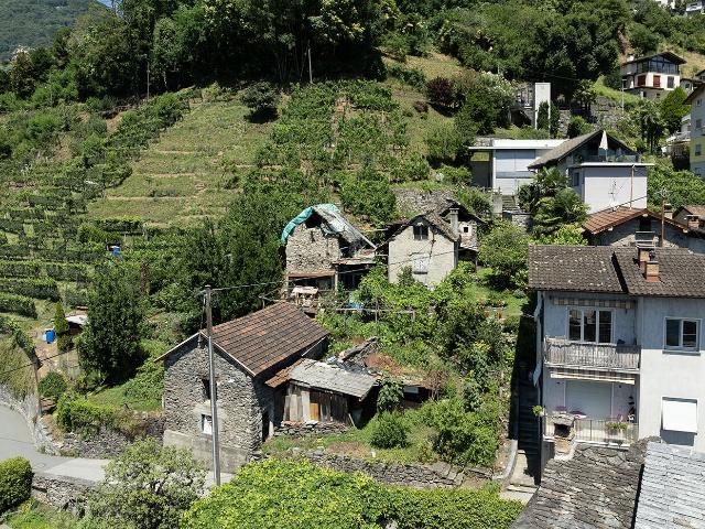 Immobilie kaufen in Gordola, Tessin