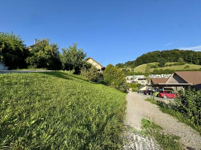 Immobilie kaufen in Gränichen, Aargau
