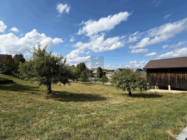 Immobilie kaufen in Lampenberg, Basel-Landschaft