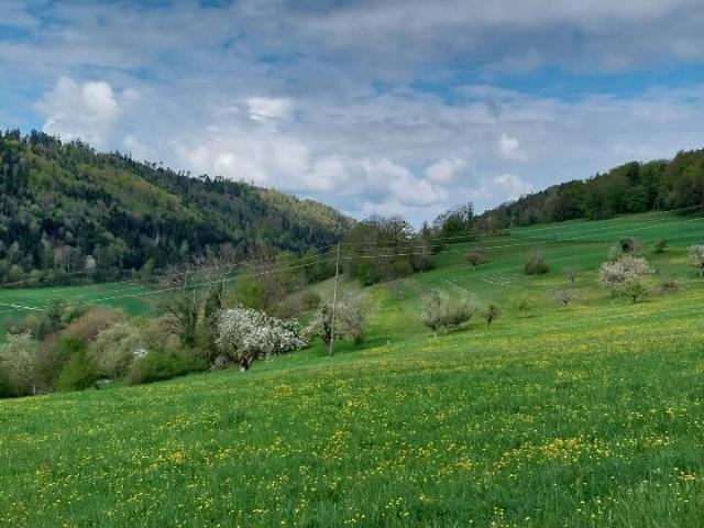 Immobilie kaufen in Liesberg, Basel-Landschaft