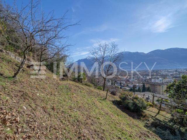 Immobilie kaufen in Brè sopra Locarno, Locarno
