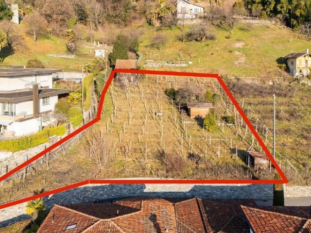 Immobilie kaufen in Minusio, Tessin