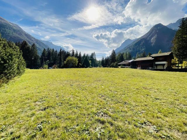 Immobilie kaufen in Praz-de-Fort, Orsières