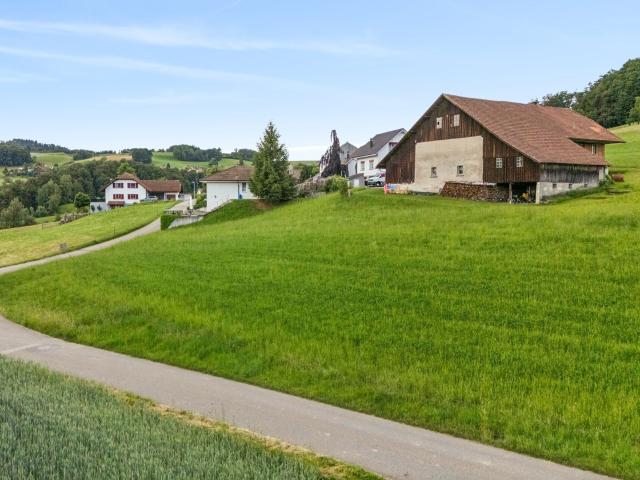 Immobilie kaufen in Schmiedrued, Aargau