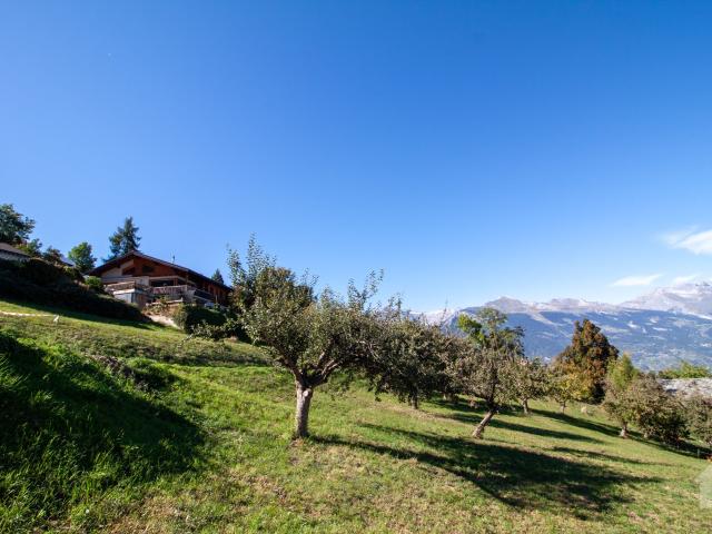 Immobilie kaufen in Baar, Nendaz, Wallis