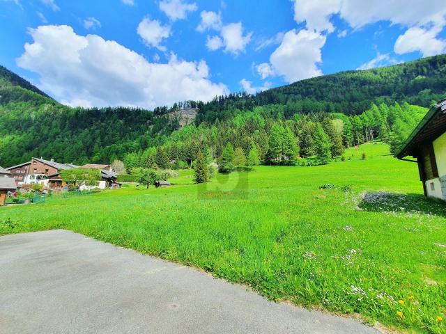 Immobilie kaufen in Trient, Wallis